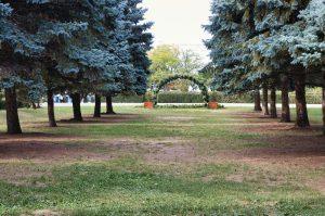 Best Neighborhoods to Live in Detroit: Rosedale Park in 2025