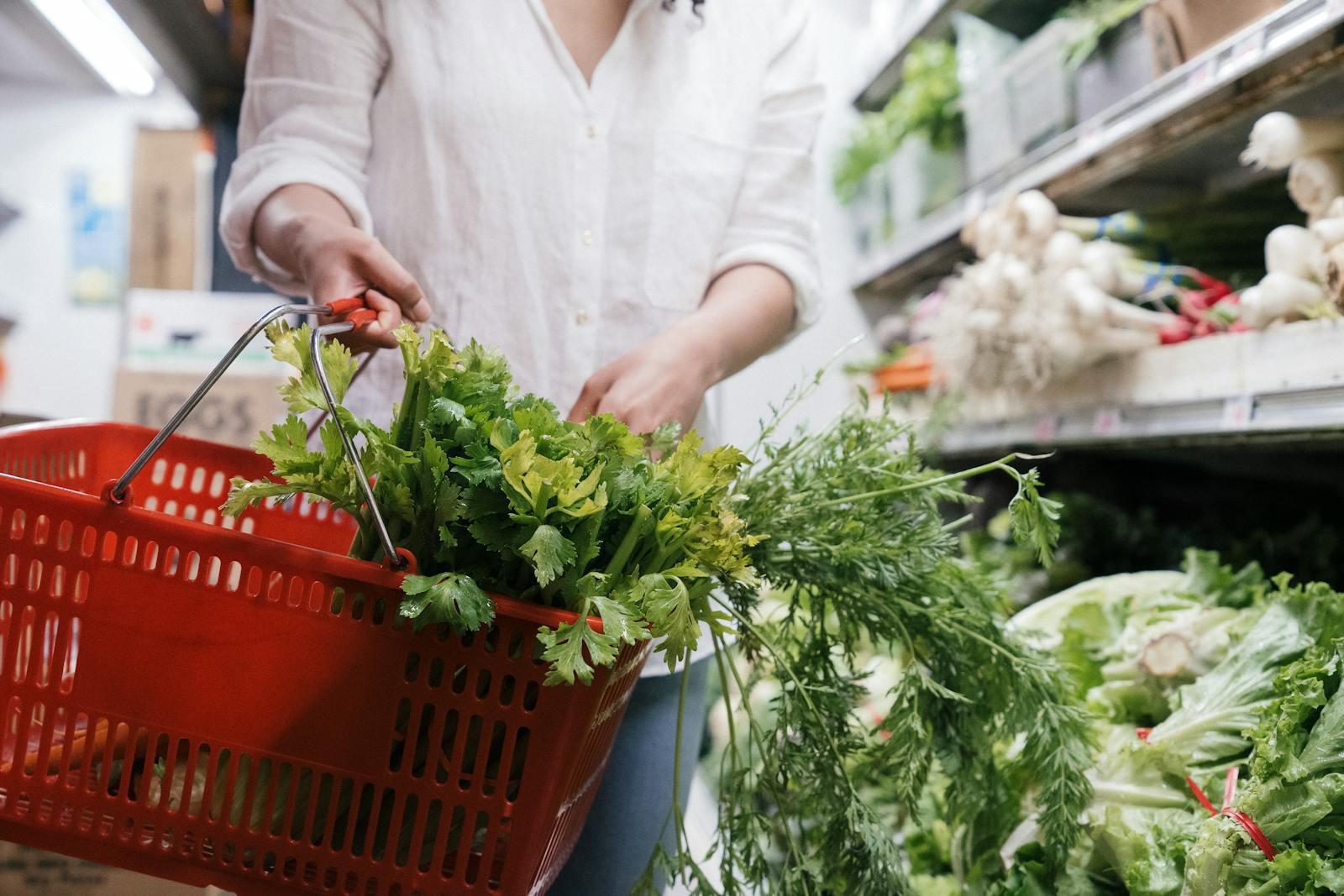 Detroit grocery cart with food – grocery costs in Detroit