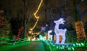Wild Lights Detroit Zoo 2025 Polar Tunnel walkway glowing blue.